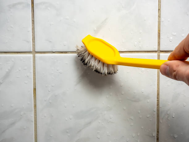 Best Mold Removal Near Me  in New Orleans, LA