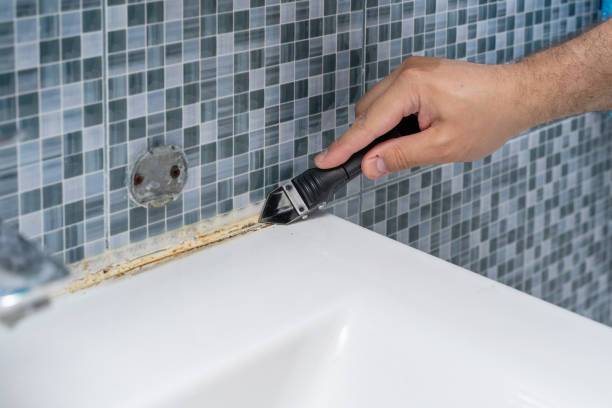 Best Mold Removal Company Near Me  in New Orleans, LA