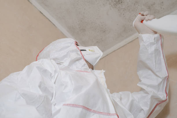 Best Toxic Mold Removal  in New Orleans, LA